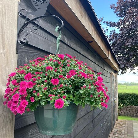 De Barg Villa Vinkenbuurt Kültér fotó
