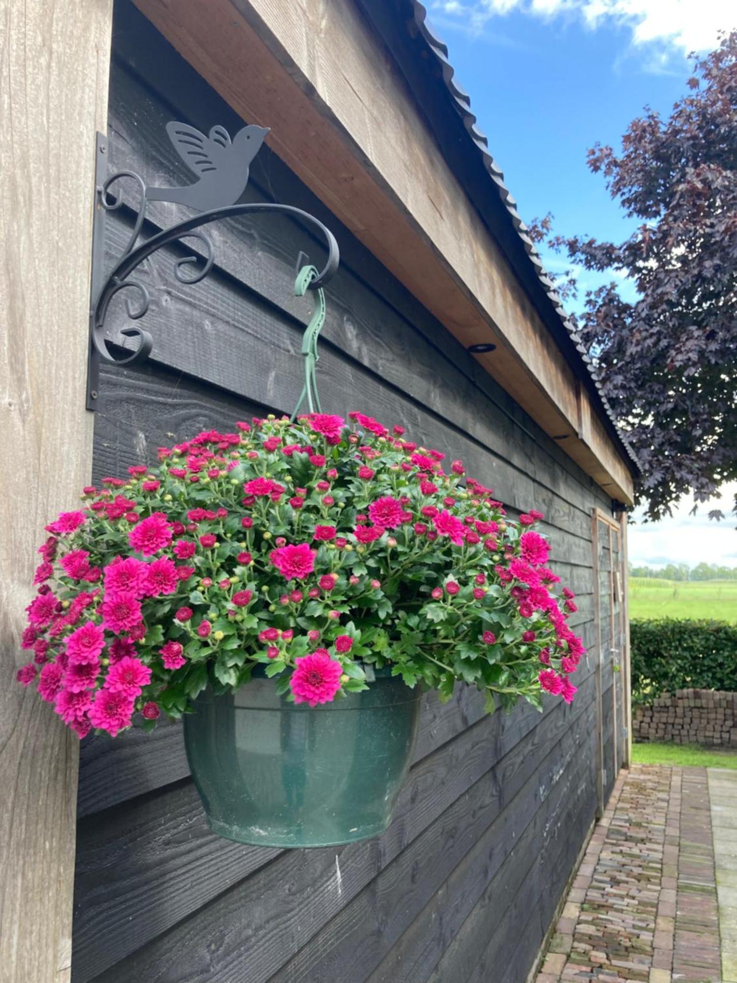 De Barg Villa Vinkenbuurt Kültér fotó